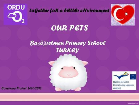 OUR PETS Ba ş ö ğ retmen Primary School TURKEY toGether foR a bEttEr eNvironment Comenius Project 2010-2012.