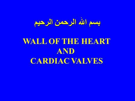 بسم الله الرحمن الرحيم WALL OF THE HEART AND CARDIAC VALVES.