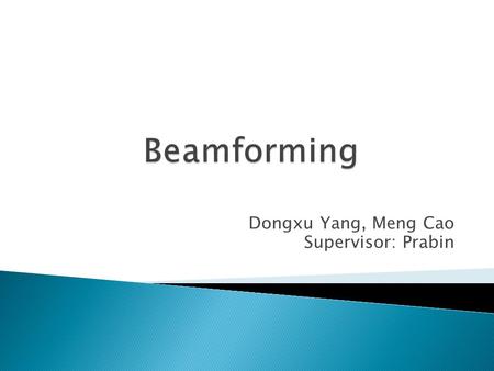 Dongxu Yang, Meng Cao Supervisor: Prabin.  Review of the Beamformer  Realization of the Beamforming Data Independent Beamforming Statistically Optimum.