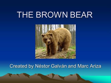 THE BROWN BEAR Created by Néstor Galván and Marc Ariza.