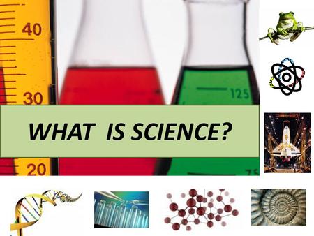 WHAT IS SCIENCE?. Evidence = Facts, Data Scientific explanations are based on data collected during experiments.