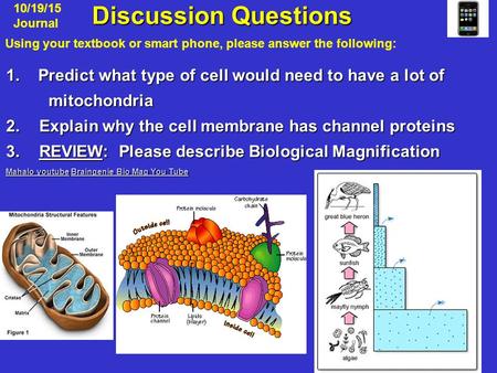   10/19/15 Journal Discussion Questions