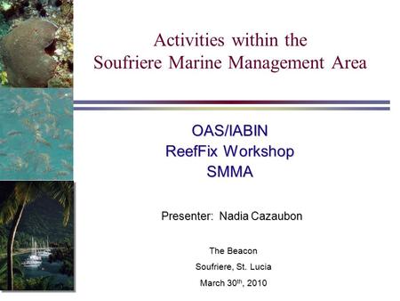 Activities within the Soufriere Marine Management Area Presenter: Nadia Cazaubon OAS/IABIN ReefFix Workshop SMMA The Beacon Soufriere, St. Lucia March.