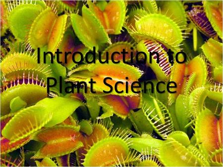 Introduction to Plant Science