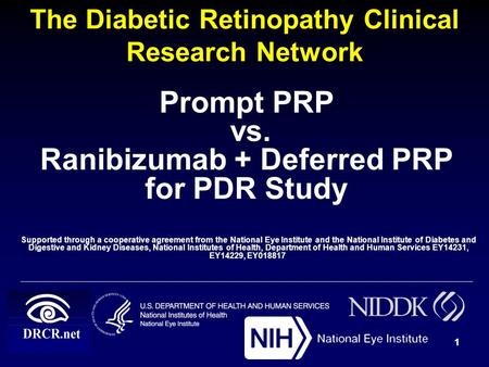 The Diabetic Retinopathy Clinical Research Network