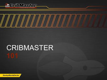 CRIBMASTER 101. WHAT’S INSIDE  Application Roles  Ribbons and Explorer  Heading and Grid Clicks  Standard Icons  Applying changes  Cool Features.