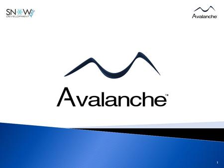 1. Company’s objectives Market study Product and services presentation Market positioning of the offer 2 Financial part.