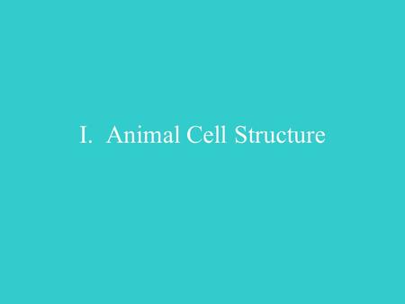 I. Animal Cell Structure A. The cell is the basic unit in the body 1. Consists of a plasma membrane, cytosol, and organelles.