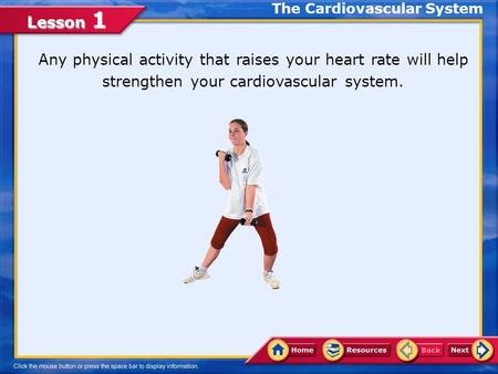 The Cardiovascular System