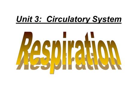 Unit 3: Circulatory System. (1) Respiration (“Breathing”) Includes: –Movement of air in and out of lungs. –Gas exchange between blood + alveoli. –Transportation.