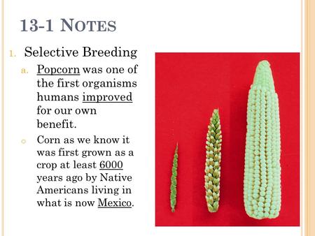 13-1 Notes Selective Breeding