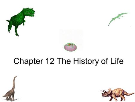 Chapter 12 The History of Life