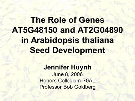 The Role of Genes AT5G48150 and AT2G04890 in Arabidopsis thaliana Seed Development Jennifer Huynh June 8, 2006 Honors Collegium 70AL Professor Bob Goldberg.