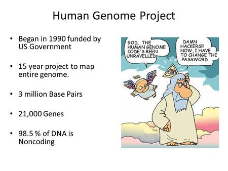 Human Genome Project Began in 1990 funded by US Government 15 year project to map entire genome. 3 million Base Pairs 21,000 Genes 98.5 % of DNA is Noncoding.