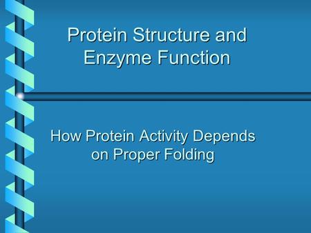 Protein Structure and Enzyme Function