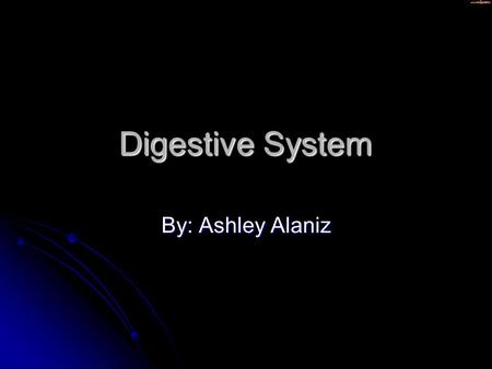 Digestive System By: Ashley Alaniz. Mouth The body opening, the mouth, which a person takes in food The body opening, the mouth, which a person takes.