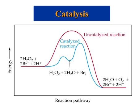 Catalysis.