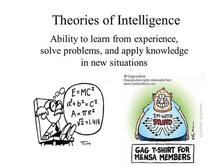 Theories of Intelligence