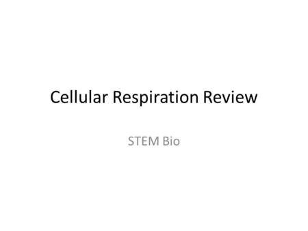 Cellular Respiration Review