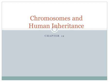 Chromosomes and Human Inheritance