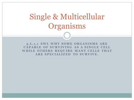 Single & Multicellular Organisms