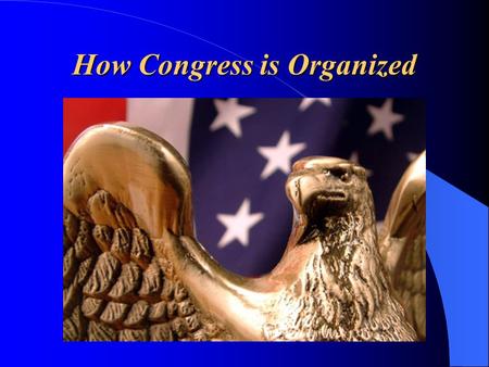 How Congress is Organized. “Separation of Powers” The 3 “branches” of government are: (LEJ) – Legislative Branch – make the laws – Executive Branch –