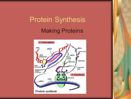 Protein Synthesis Making Proteins. Why Do We Need Proteins? 1.Cell Structure  Cell = 80% protein Cell membrane.