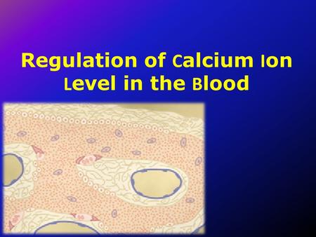 Regulation of C alcium I on L evel in the B lood.