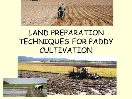 LAND PREPARATION TECHNIQUES FOR PADDY CULTIVATION