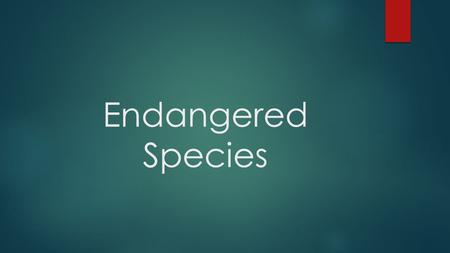 Endangered Species.