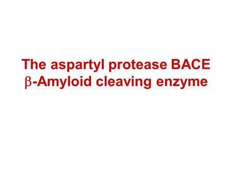 The aspartyl protease BACE  -Amyloid cleaving enzyme.