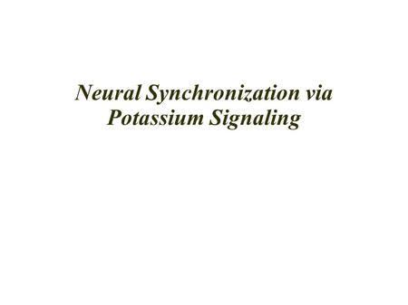 Neural Synchronization via Potassium Signaling. Neurons Interactions Neurons can communicate with each other via chemical or electrical synapses. Chemical.