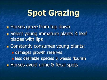 Spot Grazing Horses graze from top down Horses graze from top down Select young immature plants & leaf blades with lips Select young immature plants &