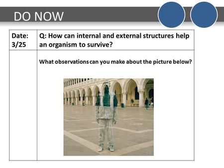 DO NOW Date: 3/25 Q: How can internal and external structures help an organism to survive? What observations can you make about the picture below?