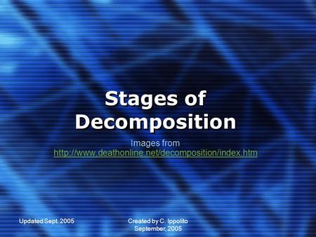 Stages of Decomposition