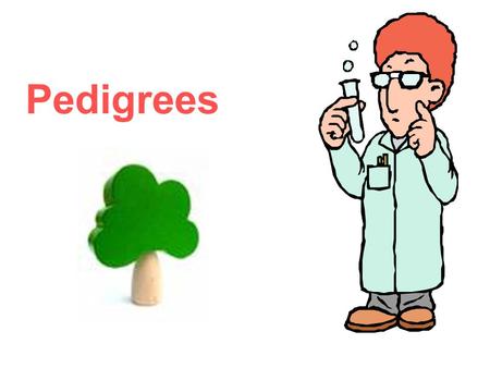 Pedigrees.