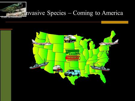 EAB 1st Detectors Invasive Species – Coming to America.