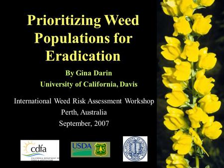 Prioritizing Weed Populations for Eradication International Weed Risk Assessment Workshop Perth, Australia September, 2007 By Gina Darin University of.