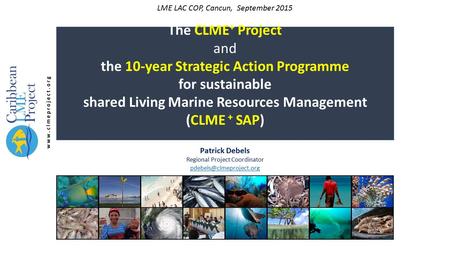 The CLME + Project and the 10-year Strategic Action Programme for sustainable shared Living Marine Resources Management (CLME + SAP) Patrick Debels Regional.