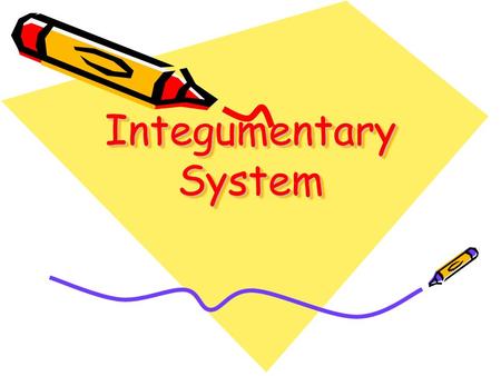 Integumentary System Membranes 1.Serous 2.Mucous 3.Synovial 4.Cutaneous.