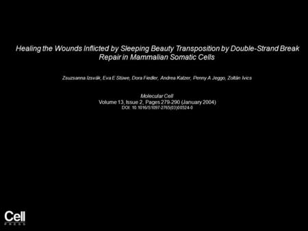 Healing the Wounds Inflicted by Sleeping Beauty Transposition by Double-Strand Break Repair in Mammalian Somatic Cells Zsuzsanna Izsvák, Eva E Stüwe, Dora.