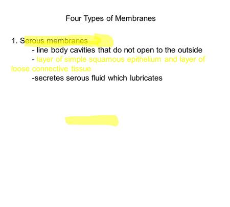 Four Types of Membranes 1. Serous membranes - line body cavities that do not open to the outside - layer of simple squamous epithelium and layer of loose.