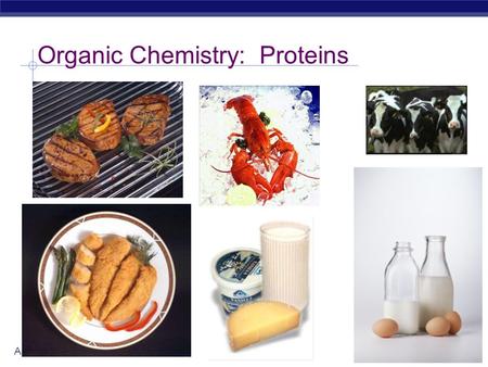 AP Biology Organic Chemistry: Proteins. 2008-2009 AP Biology Proteins Multipurpose molecules.