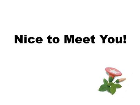 Nice to Meet You!.