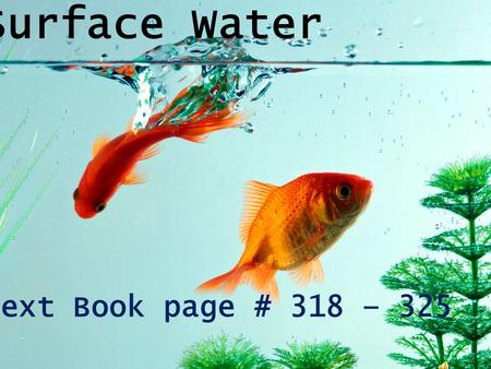 Surface Water Text Book page # 318 – 325