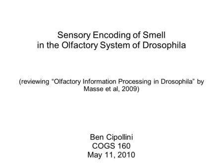 Sensory Encoding of Smell in the Olfactory System of Drosophila