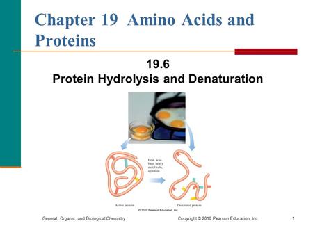 General, Organic, and Biological Chemistry Copyright © 2010 Pearson Education, Inc.1 19.6 Protein Hydrolysis and Denaturation Chapter 19 Amino Acids and.