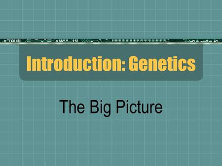 Introduction: Genetics The Big Picture. All Normal Cells  Contain 46 chromosomes or 23 pair.