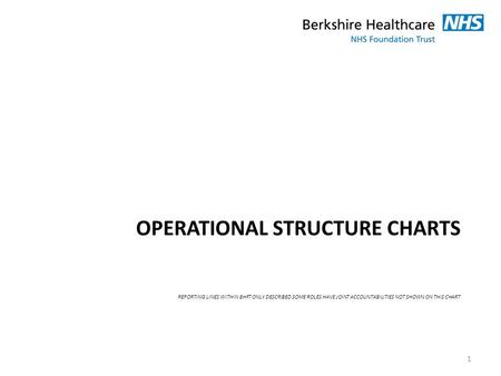 OPERATIONAL Structure Charts Reporting lines within BHFT only described some roles have joint accountabilities not shown on this chart.