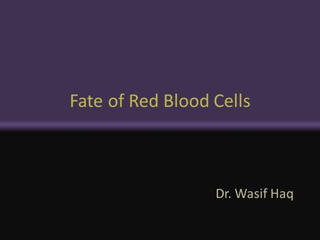 Fate of Red Blood Cells Dr. Wasif Haq.